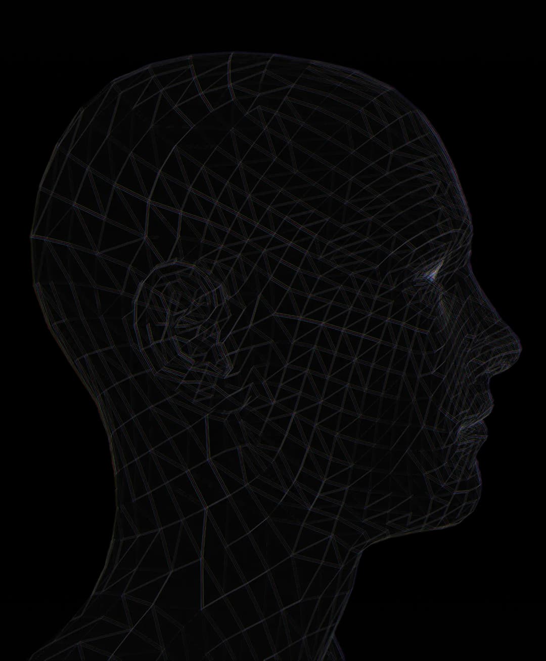 head iamge